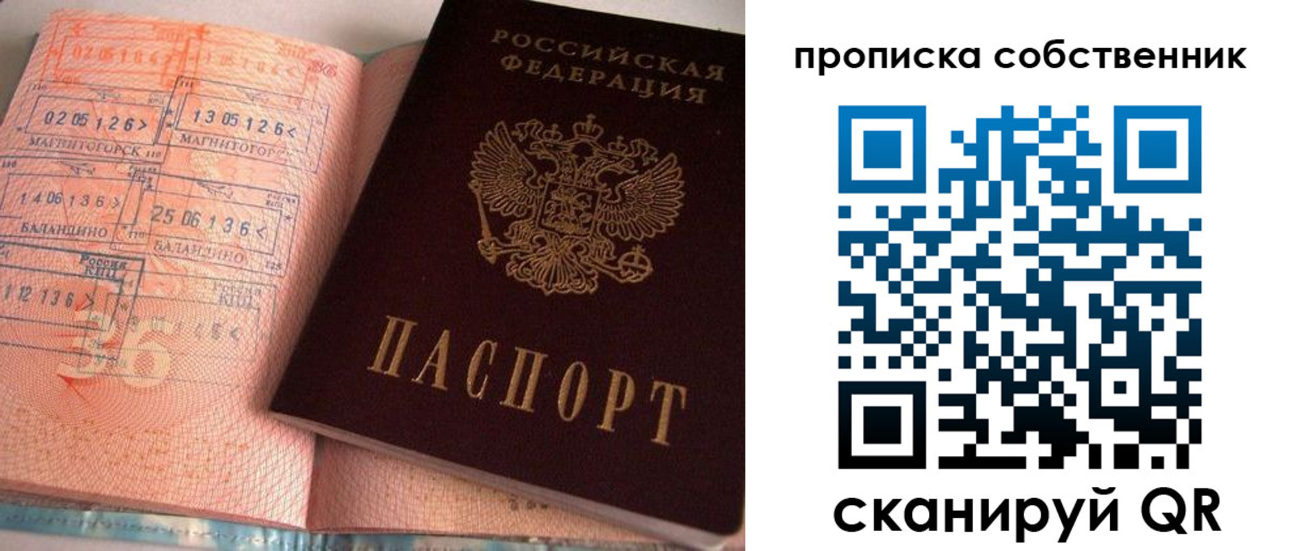 прописка в Кировске